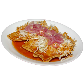 Tacos-Dorados-Taquitos-Dorados-Los-Angeles